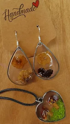 Pacific Northwest Dried Mushroom Earrings And Necklace Set • $35