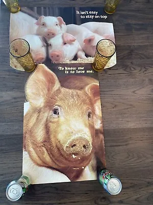 Lot Of 2 Vintage Argus Pig Educational Humor Posters 21” X 14” • $29.95