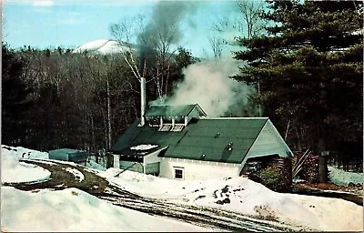 Maple Sugaring Vermont Vintage Unposted Snow Winter Cold Postcard • $3