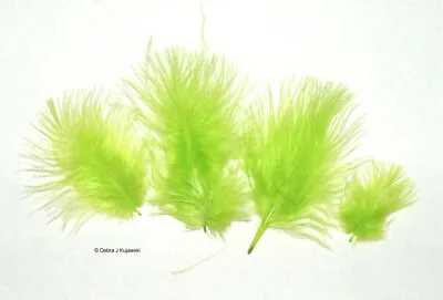 Marabou Feathers Small 1-3  Fluffs LIME GREEN 7 Grams Approx. 105 Per Bag • $2.65