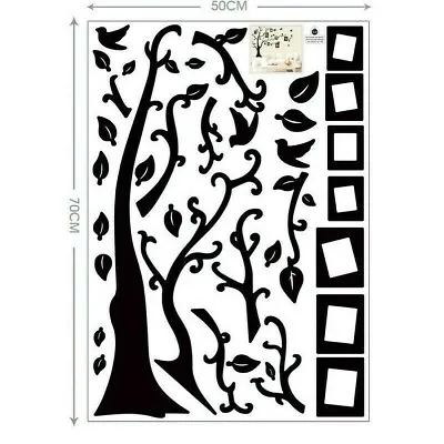 Removable Family Tree Wall Decals Mural Sticker DIY Art-Vinyl Stickers Decor NR9 • £11.52