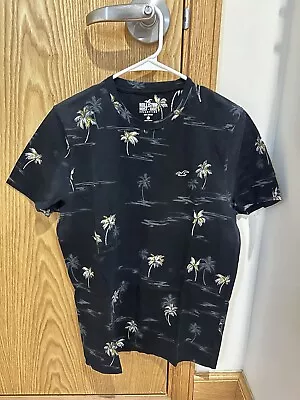 Men’s Hollister Logo T Shirt Size Large • $10