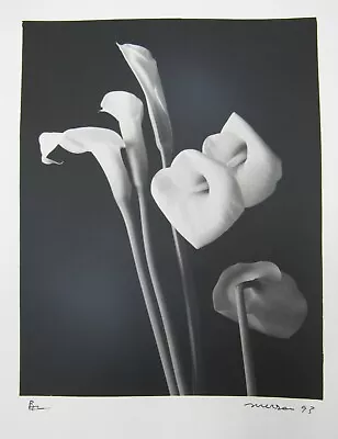 Signed 8x10” B&w Photograph Calla Lilies Follower Of Mapplethorpe  • $48