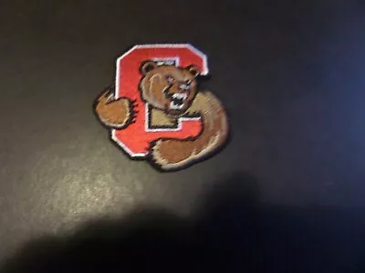 $4.44 • Buy UNIVERSITY OF CORNELL BIG RED NCAA Embroidered 2-1/2 X 2-3/ Iron Or Sew On Patch