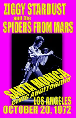 $13.99 • Buy David Bowie Replica*ziggy Stardust*1972 Concert Poster