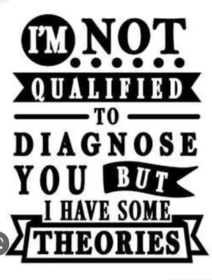 Make Your Own T-shirts!  Iron On Vinyl Decals Custom I'm Not Qualified  • $7.99