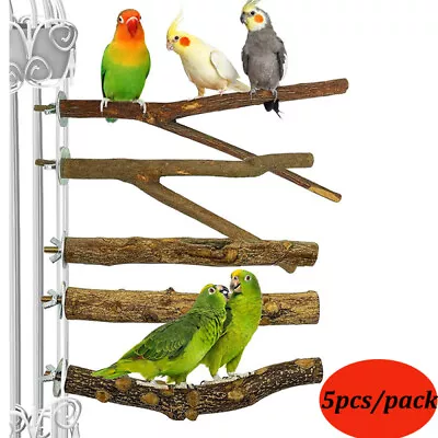 Bird Stand Rods Standing Toy Parrot Play Gym Wood Training Perch Game • $18.99