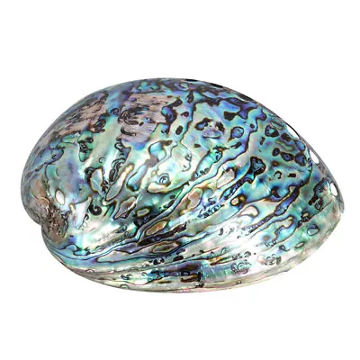 Natural Abalone Shell Smudging Bowl Incense Burner For Meditation & Cleansing • £13.68