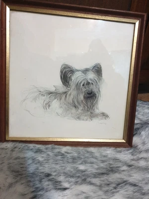 £5 • Buy Vintage Mads Stage Yorkshire/skye Terrier Framed Print