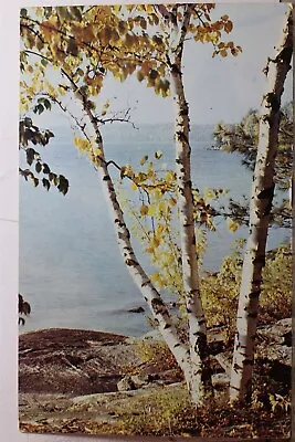 Canada Ontario Muskoka Bala Greetings Postcard Old Vintage Card View Standard PC • $0.50