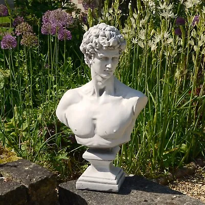 Classical  David Bust  Garden Statue White Stone  Effect Xst/994 • £89.95