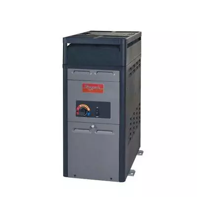 Raypak 014781 - 106A Propane Gas Pool Heater 105K BTU For 0-1999ft Elevation • $1359