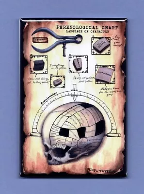 Phrenological Chart *2x3 Fridge Magnet* Skull Bumps Mental Traits Mind 456  • $8.95