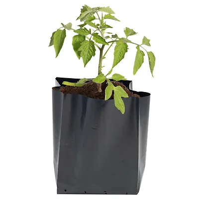 3 Litre Black Poly Pots/Reuseable Polythene Grow Bag Container Hadopots X 25 • £6.69