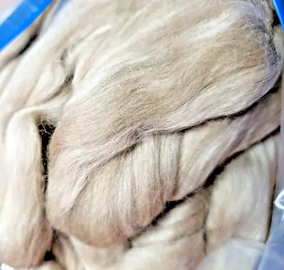 Merino Wool Roving (possibly Shetland?) 1lb 14oz Silky Soft Multitone • $35