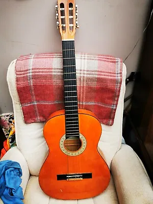 Classical Acoustic Guitar. Good Condition Arrow Easy Play Ideal Learning Player • £7.50