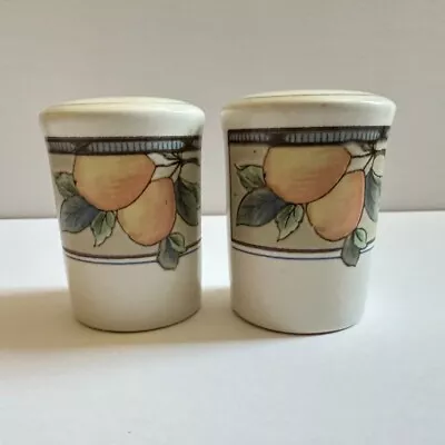 Mikasa Intaglio Garden Harvest Salt & Pepper Shakers  CAC29 Set • $12