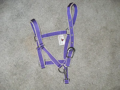 Purple & Beige Cob / Arabian Nylon Halter With Snap At Throat Adjustable Crown • $6.99