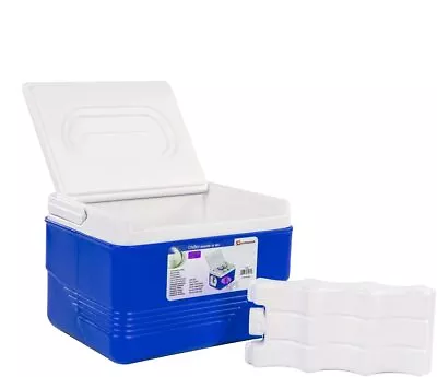 Ice Chest Cooler Box Camping Picnic Insulated Food Container Chiller 6 Litre • £16.99