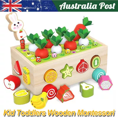 Kid Toddlers Wooden Montessori Toys Vegetable Shape Sorting Box Educational Gift • $24.89