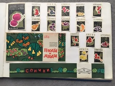 Matchbox Labels Russia Ussr Vintage  Wild Berries  Complete Set Of 17 • $10