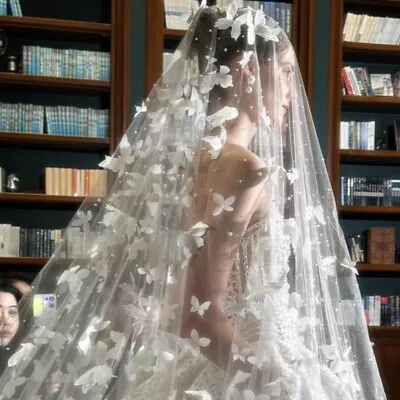 Long Wedding Bridal Veils Lace Edge Tulle Cathedral Veil With Comb Ivory White • $27.99