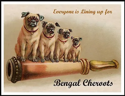 £4.99 • Buy Pug Dogs On  Lovely Vintage Style Bengal Cheroots Dog Art Advert Print Poster 
