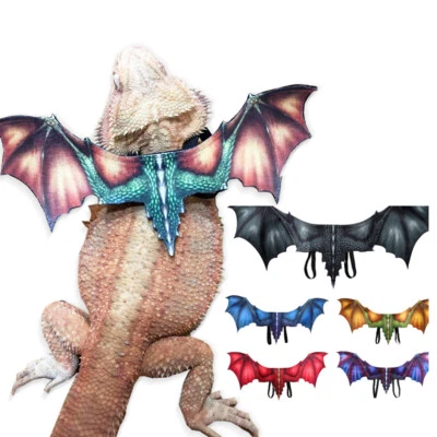 $6.99 • Buy Bearded Dragon Lizard Reptile Leash Harness Set Clothes Small Animals Multicolor