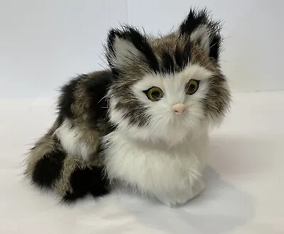 Vintage Real Rabbit Fur Kitten Cat Glass Eyes Brown Black White 6” By 5” Stuffed • $20
