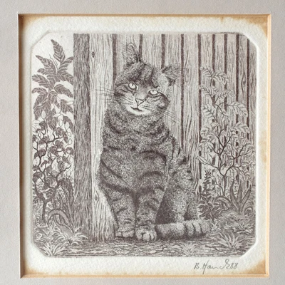 £19.99 • Buy Original Etching Of A Tabby Cat, Signed B. Hanck?, 1988 - Framed
