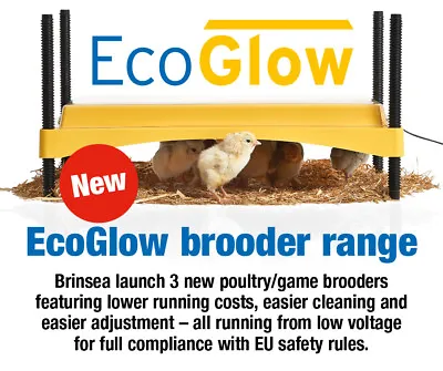 £64.99 • Buy NEW! Brinsea EcoGlow Safety 1200 Chick Brooder (Poultry, Hatching) (FREE COVER)