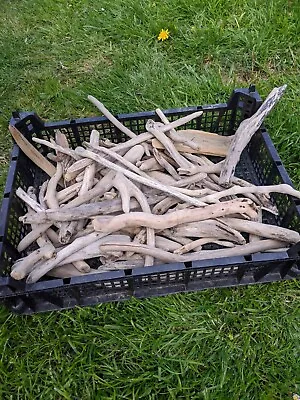 £9.99 • Buy Driftwood For Arts And Crafts, Collected From North Devon Coast