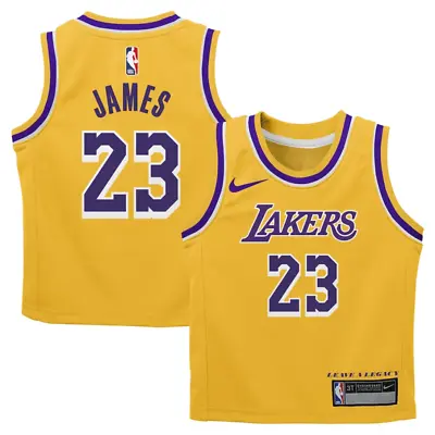 Los Angeles Lakers Jersey Kid's Nike NBA Basketball Icon Jersey - James 23 - New • £19.99