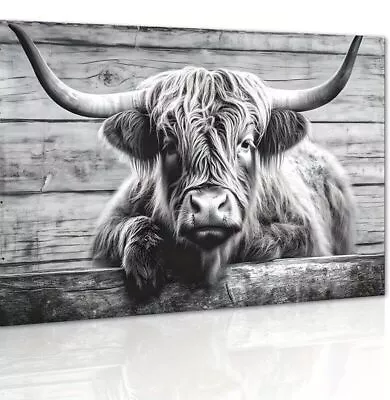 Highland Cow Animal Canvas Picture Print Wall Art Unframed Black & White  11 • £19.95