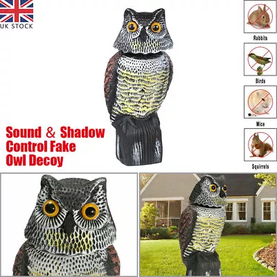 360° Rotating Big Owl Decoy Deterrent Head Sound Bird Pigeon Crow Scarer Statue • £14.17