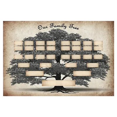 (Assorted Color21)5 Generation Family Tree Painting Tree Fan Shaped Folded Home • £5.20