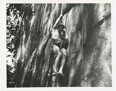 Tarzan And The Jungle Boy Vintage Photo Still Mike Henry On Vine TJB13 1967 • $14.95