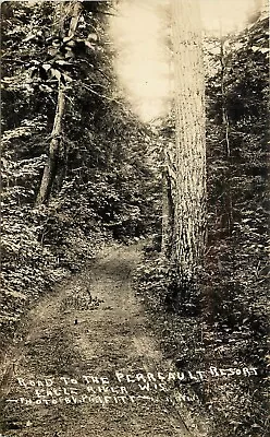 RPPC; Road To The Perreault Resort Eagle River WI Photo BV Parfitt Vilas Co. • $10.34