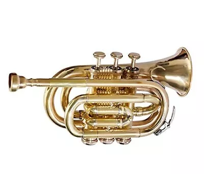 Brass Bb -POCKET TRUMPET+FREE HARD -CASE+Mouthpiece BRS MINI HORN • $125.46