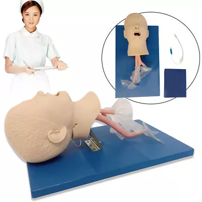 $195 • Buy Intubation Manikin Study Teaching Training Model Airway Management Trainer USA 