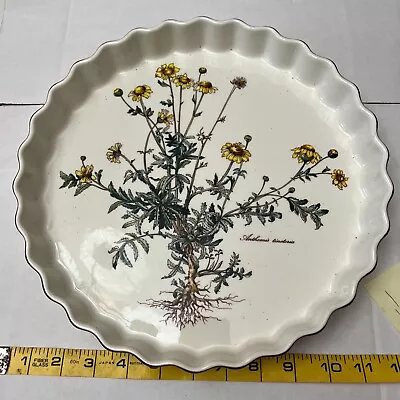 Villeroy & Boch Botanica Quiche Fluted Plate 12  Wide Vilbofour Anthemis  • $75