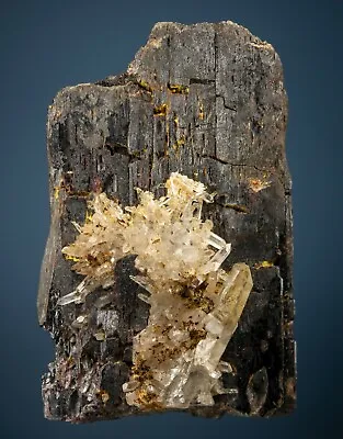 Hubnerite W/ Quartz  Black Pine Mine Philipsburg Montana Harris Coll. 1807-O09 • $1250