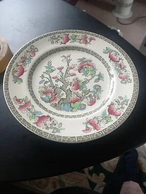 £5 • Buy 6 X Vintage Johnson Brothers Indian Tree 9  Lunch Plates