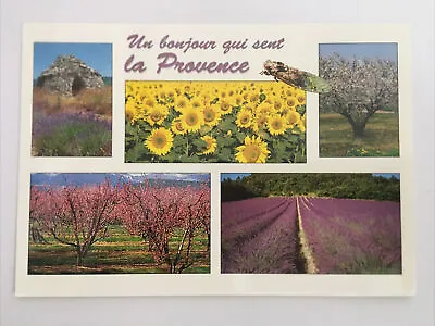 Un Bonjour Qui Sent La Provence France Postcard • $3.99