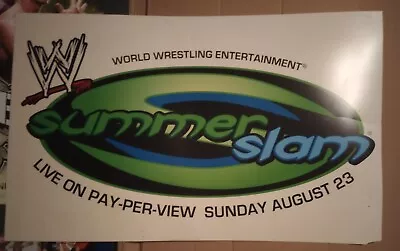 WWF WWE Summerslam Event Wrestling Poster Vinyl AWA ECW WCW • $150