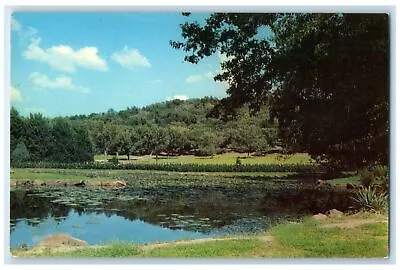 C1950's Lily Ponds In Honor Heights Park Muskogee Oklahoma OK Unposted Postcard • $29.95
