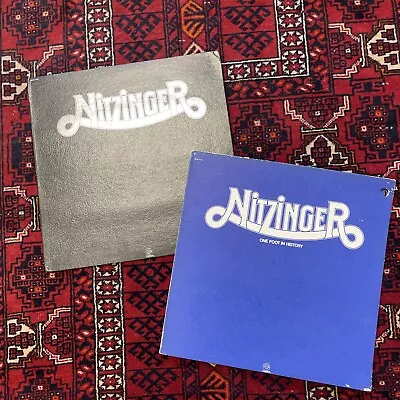 Nitzinger Vintage Vinyl Lot (2 LPs) 70s Classic Hard Rock Records • $19.99