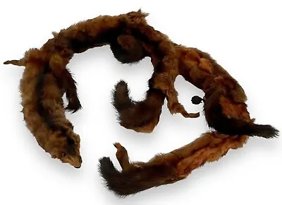 Vintage Genuine Head Mink Fur W/ Claws Tails Collar Wrap Scarf 43” Natural • $29.95