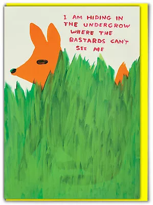 David Shrigley Birthday Greetings Card Funny Comedy Humour Novelty Cheeky Joke • £2.95