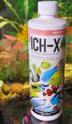 Hikari Usa AHK73316 Salt Water Ich-X For Aquarium 16-Ounce • $9.99